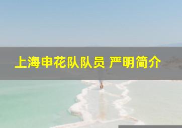 上海申花队队员 严明简介